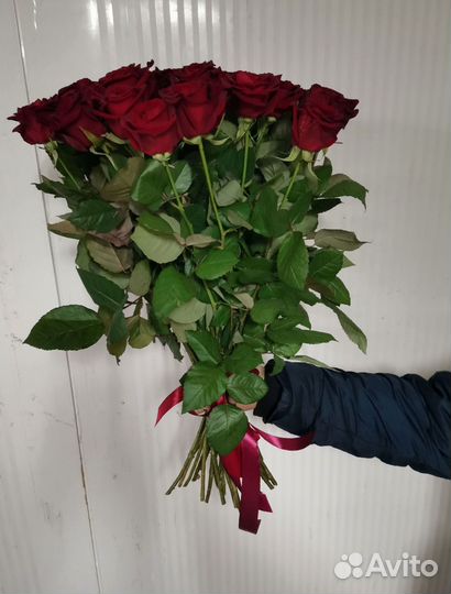 101 роза с доставкой, букет роз с доставкой