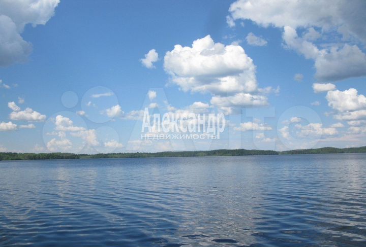 Дом 53 м² на участке 25 сот.