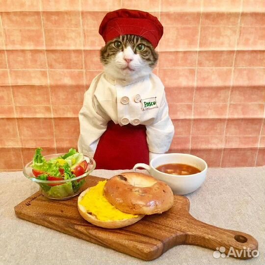 Повар на выезд