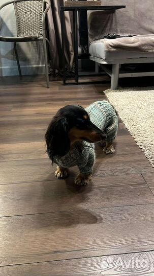 Комбенизон /свитер на таксу