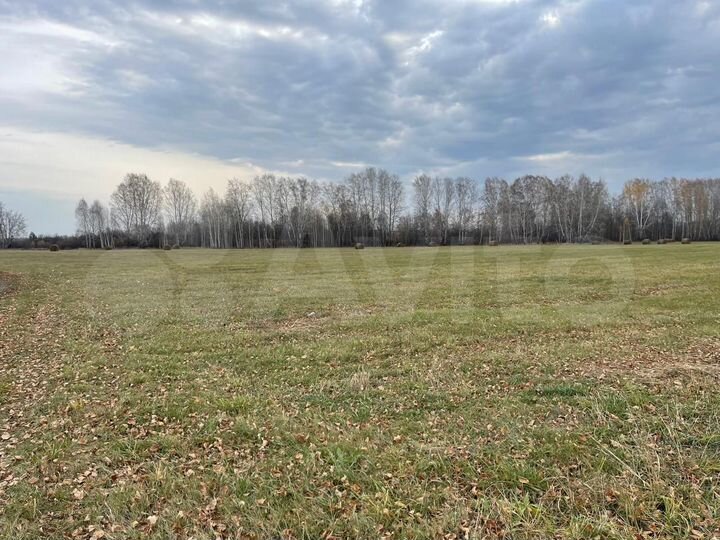 Участок 2,9 га (СНТ, ДНП)