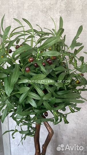 Искусственное оливковое дерево