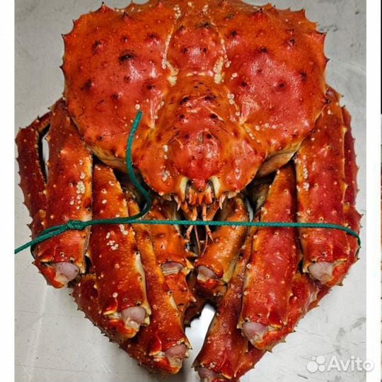 Королевский Камчатский краб,целый,фаланги,салатный
