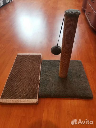 Когтеточка