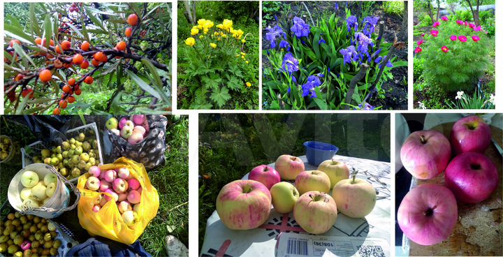 Дача 19,9 м² на участке 4 сот.