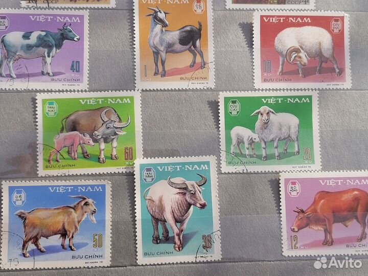 Почтовые марки