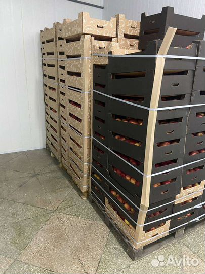 Яблоки для переработки