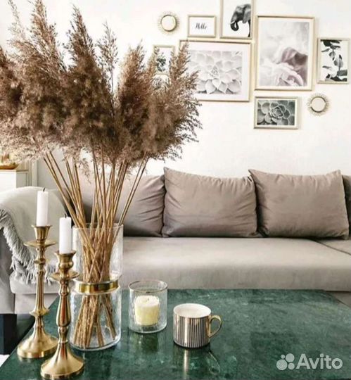 Цветы/сухоцветы/пампасная трава/камыш/украшения