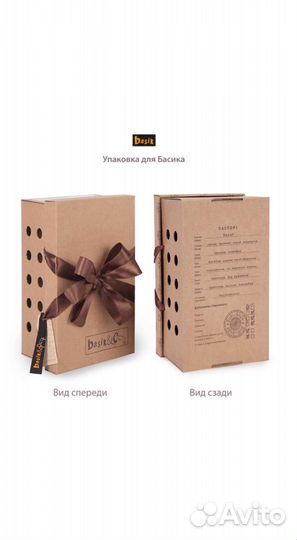 Басик в шапке ушанке