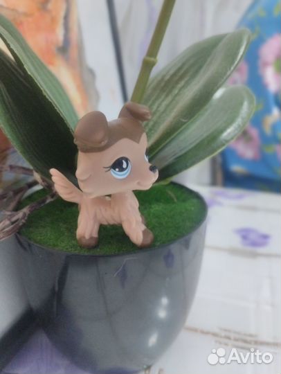 Lps оригинал