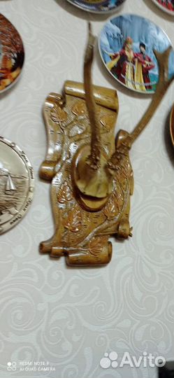 Рога косули