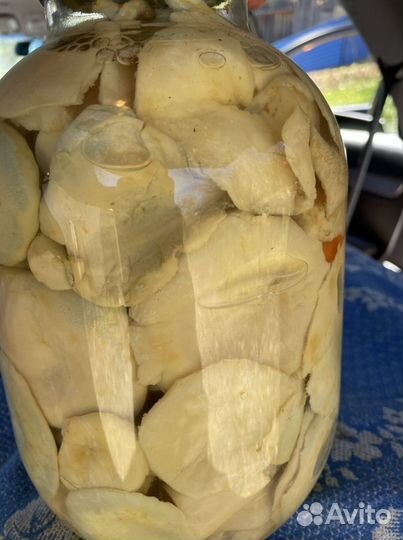 Грибы грузди соленые