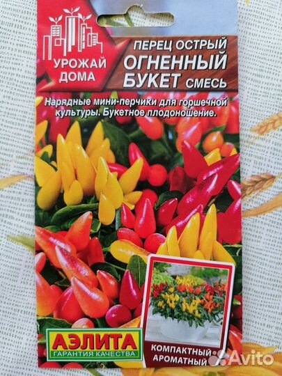 Перец комнатный острый