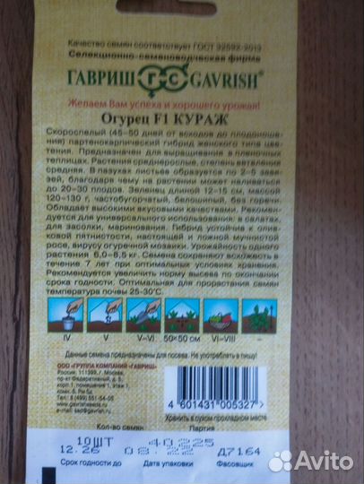 Рассада огурцов