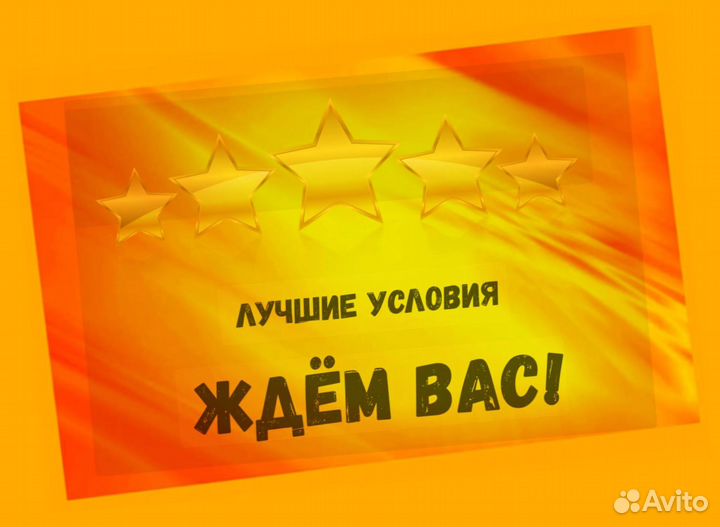 Наборщик заказов Без опыта Еженедельные выплаты