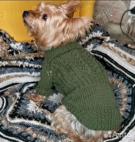 Свитер для собаки