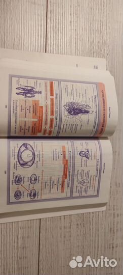 Учебные книги