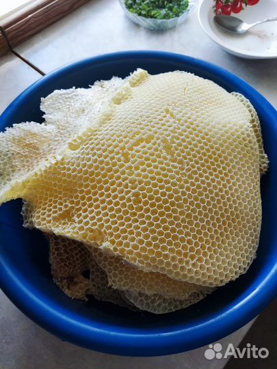 Продам пчелосемьи