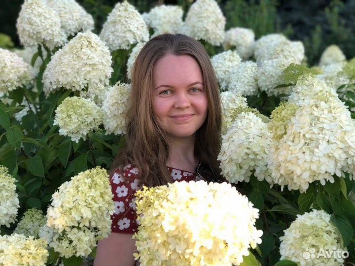 Маркетолог