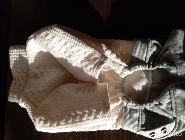 Одежда для собак