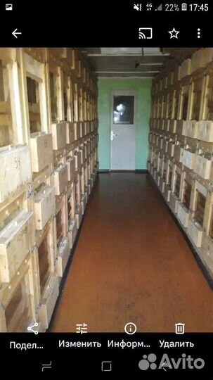 Пчелопавильон