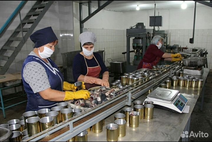 Рабочий консервный завод Вахта Славянск-на-Кубани