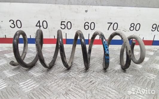 Пружина задняя renault scenic 3 (SBR15LY02)