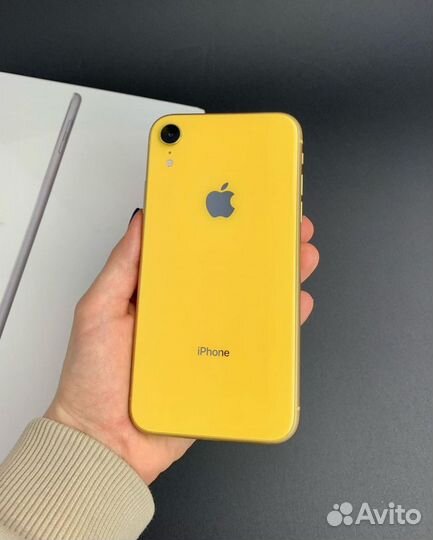 iPhone Xr