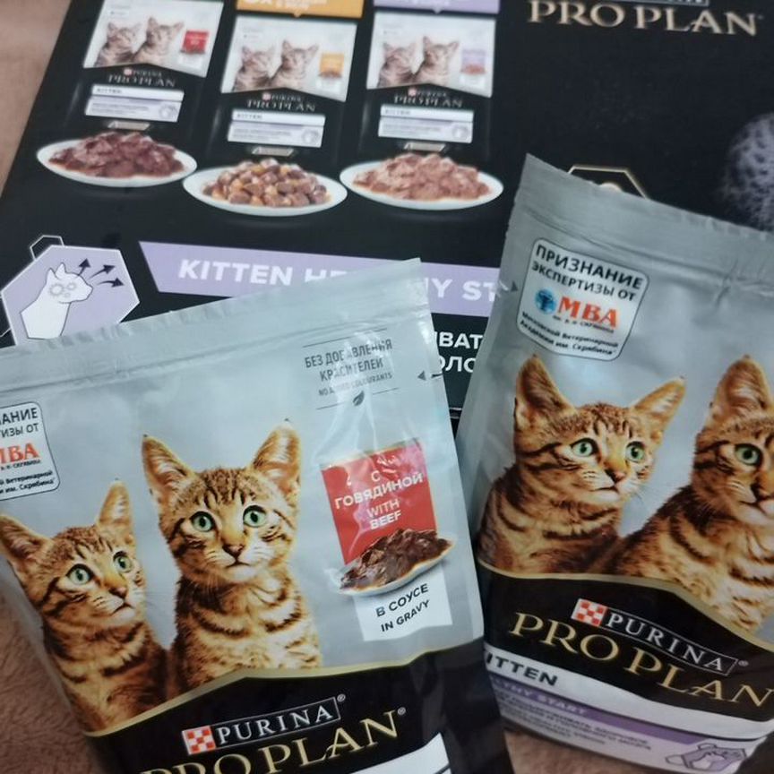 Purina pro plan влажный корм 6 шт для котят