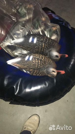 Чучело кряквы