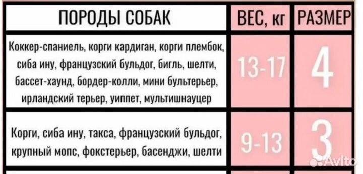 Рюкзак - переноска для собак
