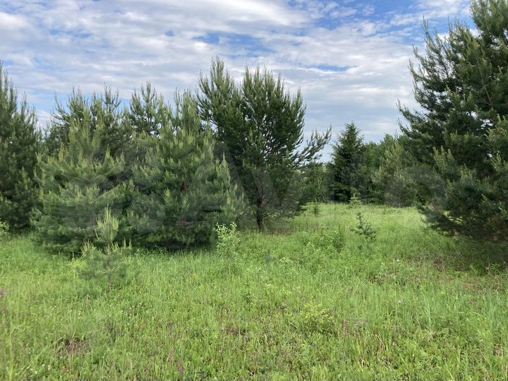 Участок 9,4 сот. (СНТ, ДНП)