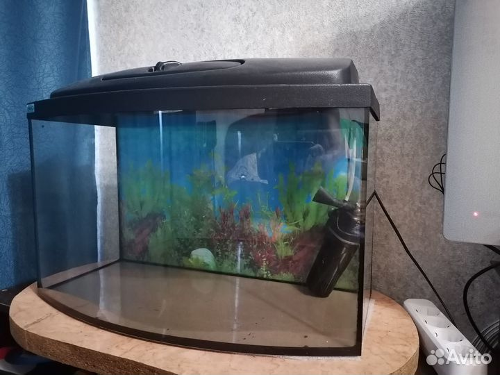 Аквариум