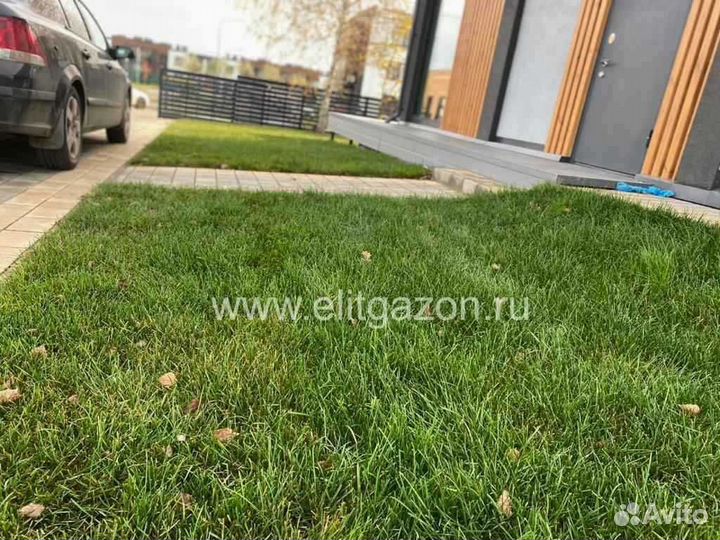 Укладка рулонного газона