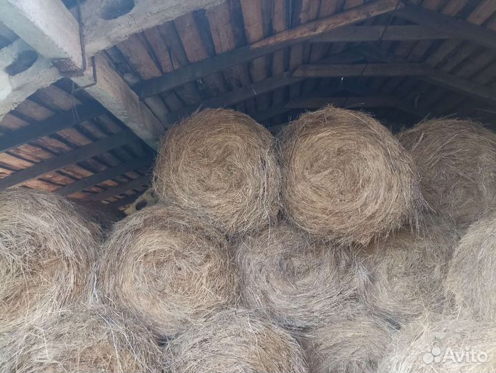Сено в рулонах