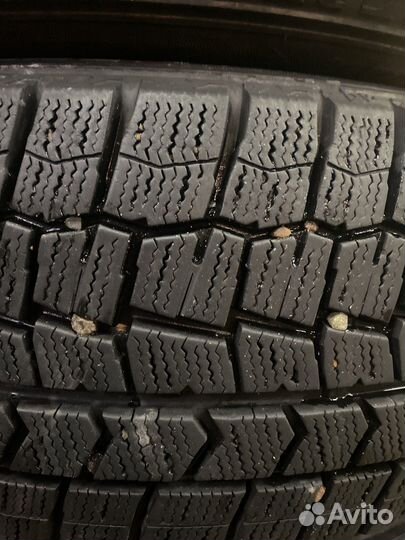 Dunlop Winter Maxx WM02 205/50 R17