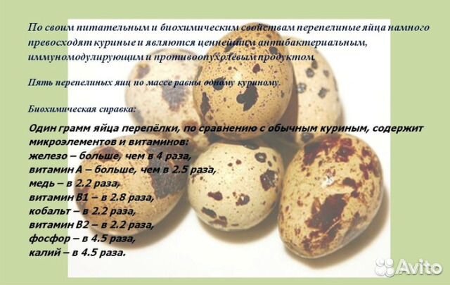 Яйца перепелиные