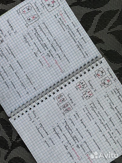 Написание конспектов