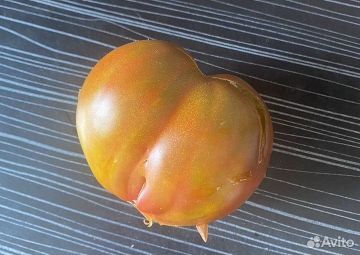 Семена коллекционных сортов томатов