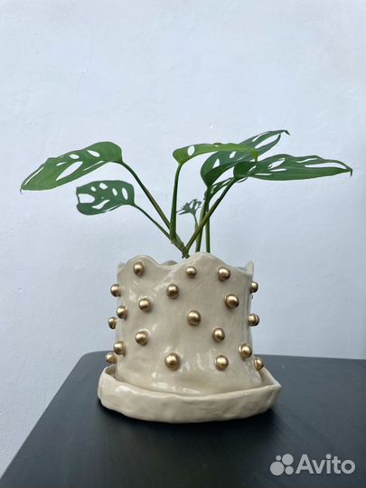 Керамический горшок для растений ручной работы