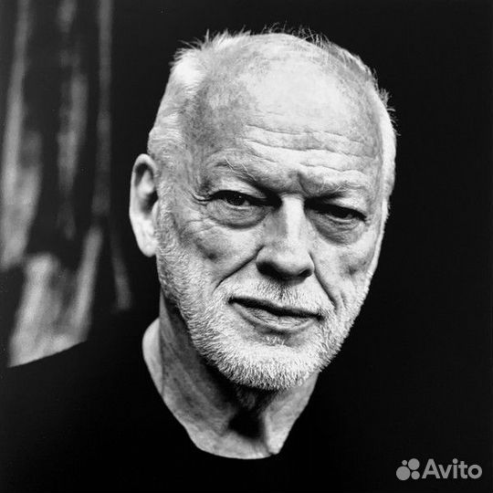 Виниловая пластинка David Gilmour - Luck And Strange (Translucent Sea Blue LP)