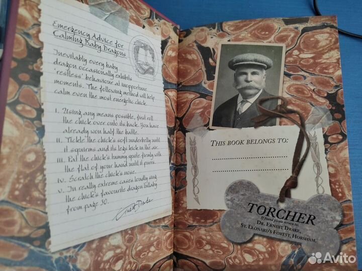 Bringing up baby dragons книга о драконах англ яз