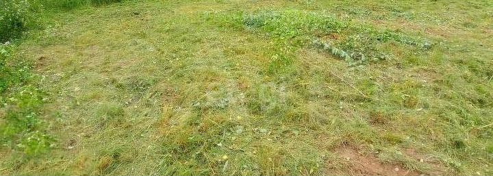 Участок 12 сот. (СНТ, ДНП)