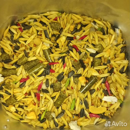 Корм и аксессуары для грызунов
