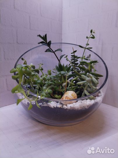 Флорариум на заказ и в наличии