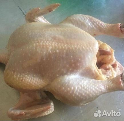 Мясо домашнего бройлера