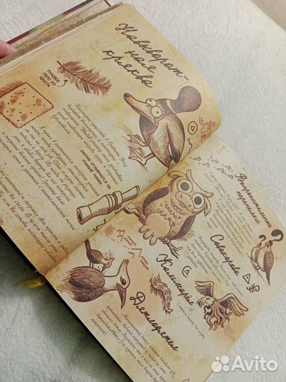 Дневник Диппера Гравити Фолз