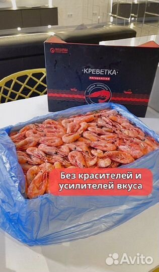 Креветка Северная