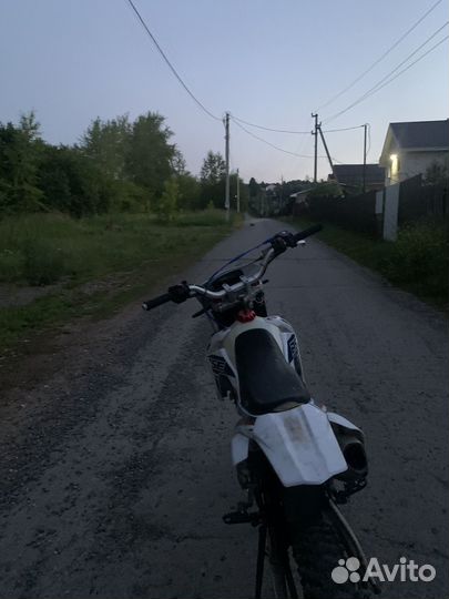 BSE Z3 Y