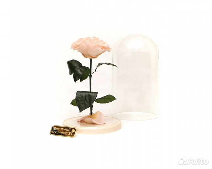 Роза в колбе